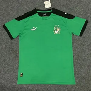 2023 Ivory Coast Green Kit Player Version Shirts Football AAAAJersey Yupoo