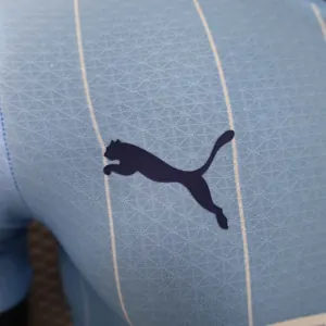 24-25 Manchester City Home Kit Player Version Shirt Soccer Jerseys For Sale 2