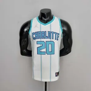 75th Anniversary Hayward #20 Charlotte Hornets White NBA Jersey