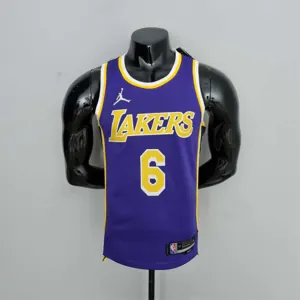 75th Anniversary James #6 Los Angeles Lakers Jordan Purple NBA Jersey