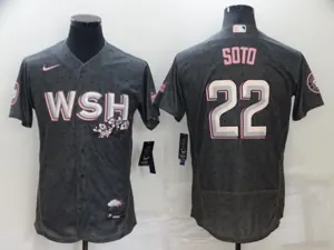 Washington Nationals 51
