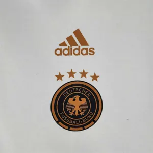 2022 Germany Hoodie white 7