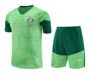 24-25 Palmeiras Training Soccer Jerseys Football Shirts
