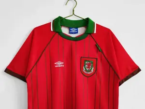 94-96 Wales home 9