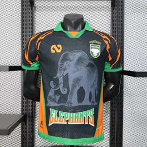 2025 Ivory Coast Special Edition T-Shirt Player Version AAAAJersey Yupoo