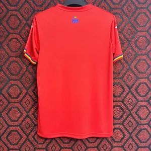 2024 Romania Away Kit Soccer T-Shirt Sino Sport AAAAJerseys Supply Yupoo 1