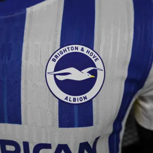 24-25 Brighton Home Kit Player Version Shirt AAAAJersey Supplier Yupoo 2