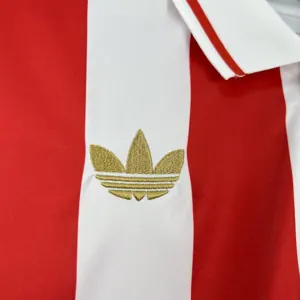 2425 Olympiacos FC 100th Anniversary Special Edition Shirt AAAAJersey Dropship Yupoo 2