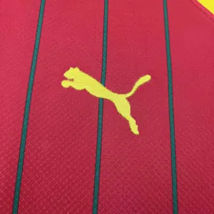 2024 Guinea Home Kit Cheap Jerseys Yupoo 2