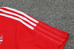 Polo Arsenal red 15