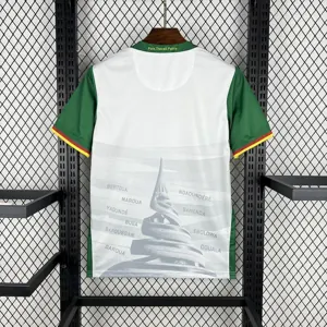 2025 Cameroon Third Away Kit Football T-Shirt AAAAJersey Supply Yupoo 2