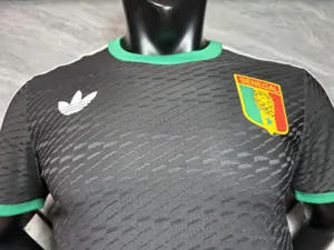 2026 Senegal Special Edition KIt Player Version Soccer T-Shirt AAAAJersey Supply Yupoo-1 4