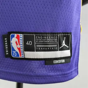 75th Anniversary TOSCANO #95 Los Angeles Lakers Jordan Purple NBA Jersey 2