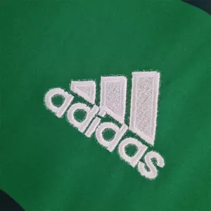 10-11 Palmeiras home 1