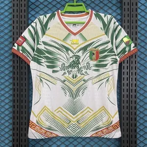 2026 Mali Special Edition Kit Soccer Player T-Shirt AAAAJersey Supply Yupoo