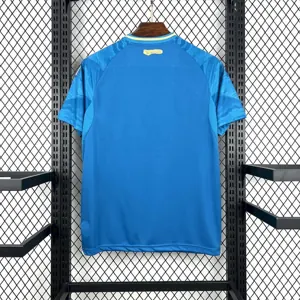 25-26 Cruzeiro Third Away Kit Soccer T-Shirt AAAAJersey Yupoo 2