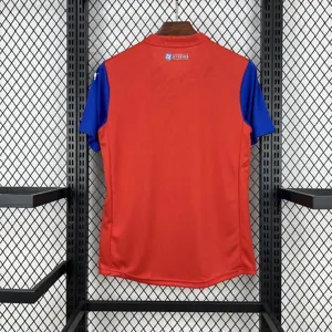 25-26 Bahia Special Edition Soccer Uniform Sport AAAAJersey Yupoo 4