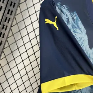 24-25 Fenerbahce Third Shirt Football Uniform AAAAJersey Yupoo 2