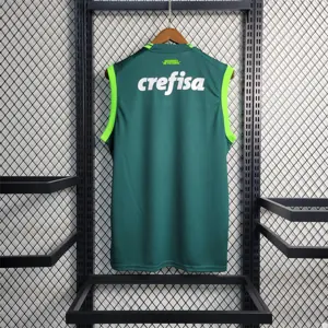 23-24 Palmeiras home tank 6