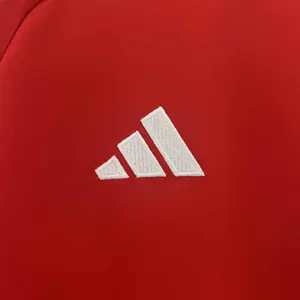 2024 Wales Home Shirt Football AAAAJersey Yupoo 2