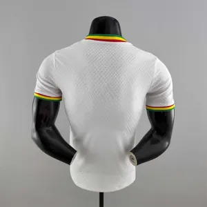 2022 Senegal home player version 4
