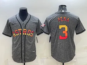 Houston Astros 110