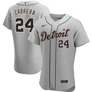 Detroit Tigers 25
