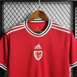 2022 Wales home 9