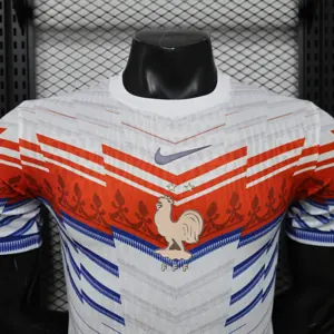2026 France Mens Special Edition Player Version Football T-Shirt AAAAJersey Supply Yupoo 4