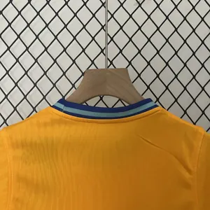 2024 Netherlands Special Edition Kid Kits Children Sets Jersey Supplier Yupoo 8