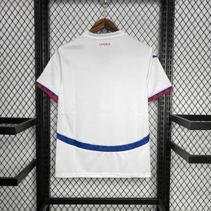 2024 Serbia Away Kit UEFA Euro Shirt Soccer Jerseys Yupoo 5