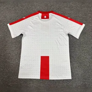 2024 Georgia Home Kit UEFA Euro Shirt Football Replicas Yupoo 1