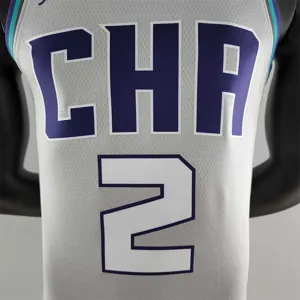 2019 Ball#2 Charlotte Hornets Grey NBA Jersey 4