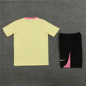 24-25 PSG Training Soccer Jerseys Football Shirts 3