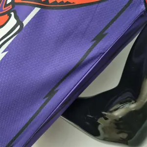 Toronto Raptors SIAKAM #43 Purple NBA Jersey 3