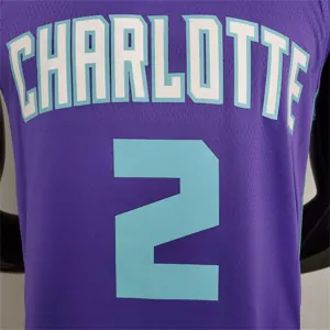 Hornets Ball#2 Purple 7