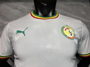 2026 Senegal Special Edition KIt Player Version Soccer T-Shirt AAAAJersey Supply Yupoo-5 2