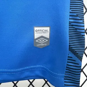 25-26 Santos Blue Goalkeeper Kit Football T-Shirt AAAAJersey Supply Yupoo 6
