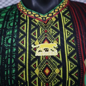 2026 Mali Special Edition KIt Player Version Soccer T-Shirt AAAAJersey Supply Yupoo-6 6