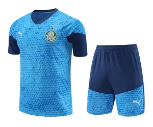 24-25 Palmeiras Training Soccer Jerseys Football Shirts
