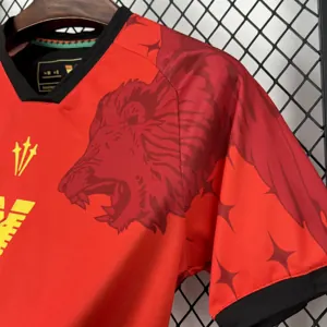 25-26 Venezia Special Edition T-Shirt Football Uniforms AAAAJersey Supply Yupoo 6