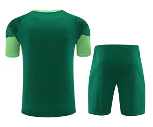 24-25 Palmeiras Training Soccer Jerseys Football Shirts 2