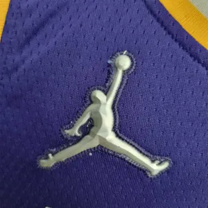 75th Anniversary James #23 Los Angeles Lakers Jordan Purple NBA Jersey 5