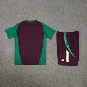 2024 Mexico Training Soccer Jerseys Football Shirts 1