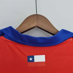 2014 Chile home 8