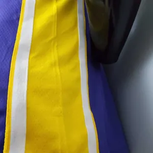 James #6 Lakers purple 2
