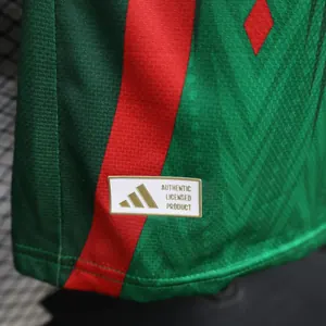 2026 Mexico Mens Special Edition Player Football T-Shirt AAAAJersey Supply Yupoo 8 4