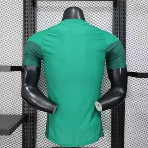 2026 Mexico Pre-Match Football Player Version T-Shirt AAAAJersey Supply Yupoo-1 6