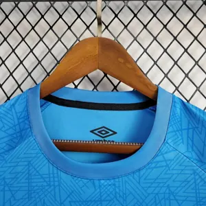 24-25 Gremio Training Shirt Football AAAAJersey Yupoo 2