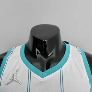 75th Anniversary Ball #2 Charlotte Hornets White NBA Jersey 2